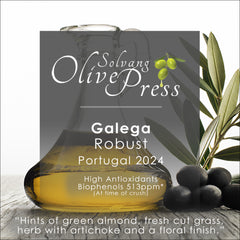 Galega Ultra Premium Extra Virgin Olive Oil, Robust Intensity, 513 ppm